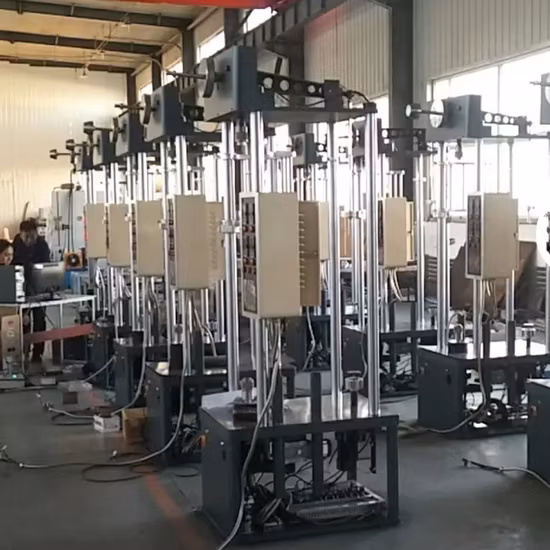 Customized Creep Testing Machine/ Tester /Relaxation